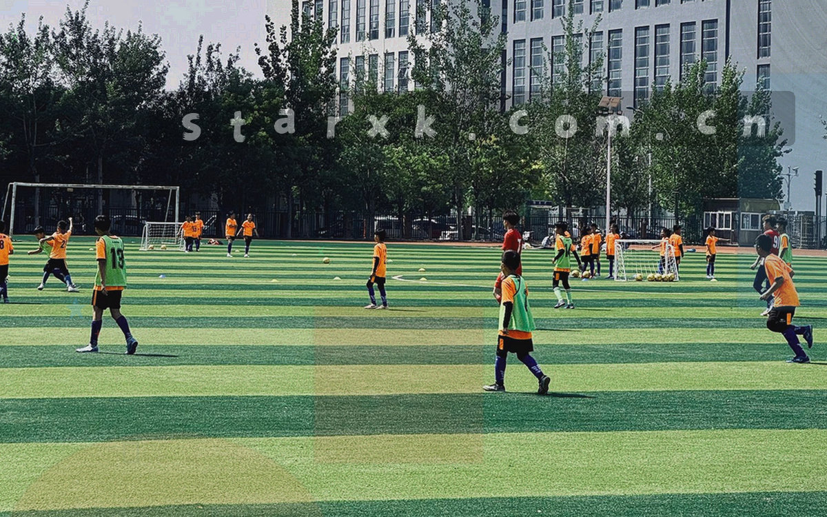 多块球场俯瞰画面并置的抽象合成，不同角度的草坪拼接成整齐网格